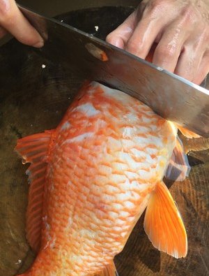 吃鱼腥线必须去掉吗?