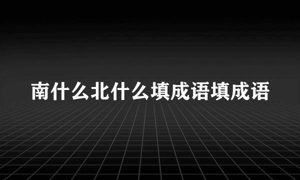 南什么北什么填成语填成语