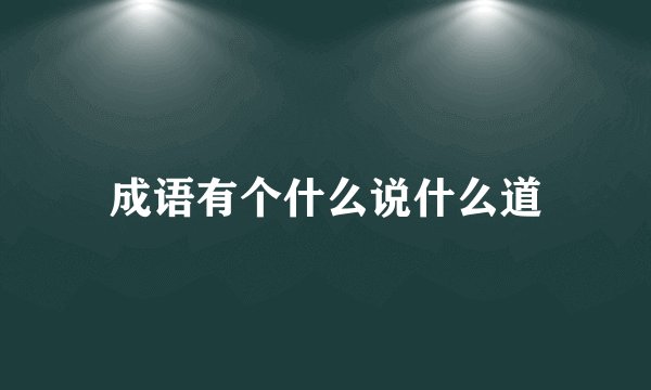 成语有个什么说什么道