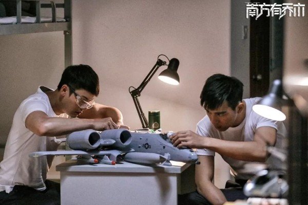 南方有乔木好看吗