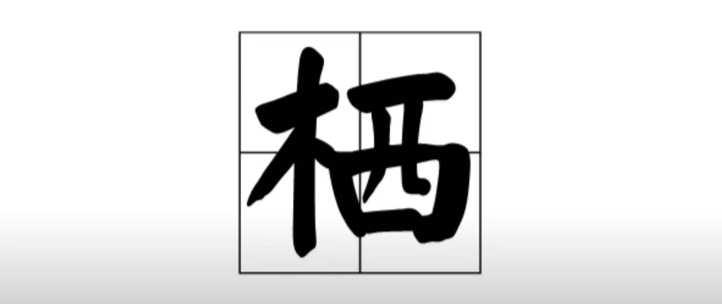 栖读xi还是qi？