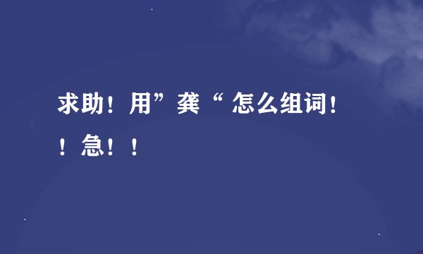 求助！用”龚“ 怎么组词！！急！！