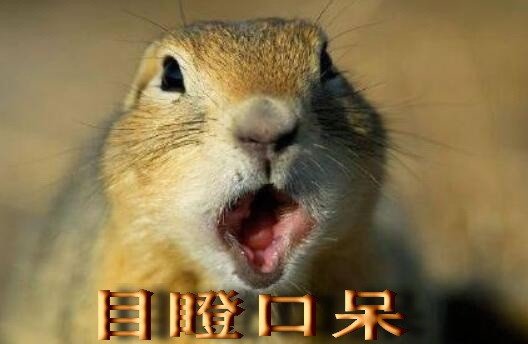 眼眶、怒目圆睁、目瞪口呆造句