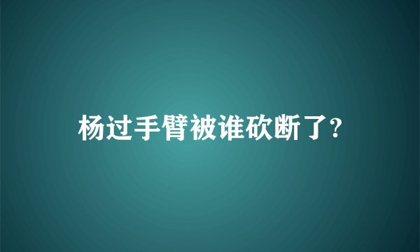 杨过手臂被谁砍断了?