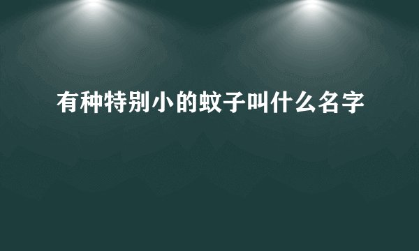 有种特别小的蚊子叫什么名字