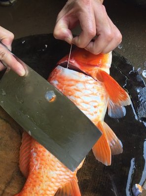吃鱼腥线必须去掉吗?