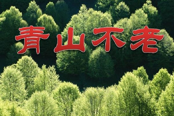 《青山不老》这篇课文表达了作者什么样的感情？