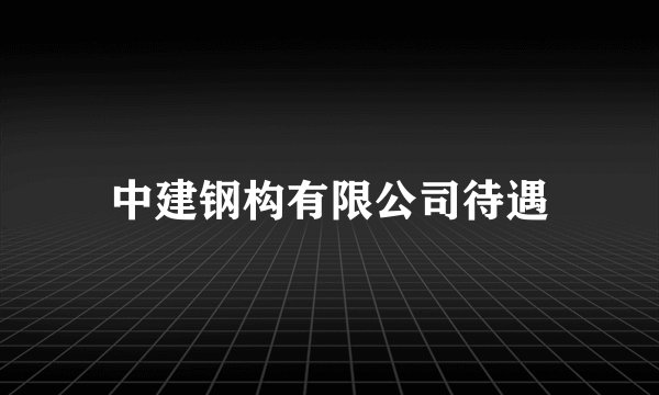 中建钢构有限公司待遇