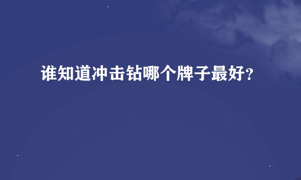 谁知道冲击钻哪个牌子最好？