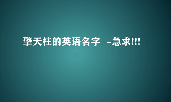 擎天柱的英语名字  ~急求!!!
