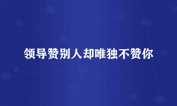 领导赞别人却唯独不赞你