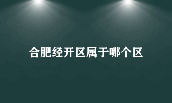 合肥经开区属于哪个区
