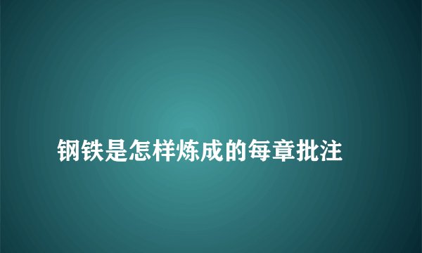 
钢铁是怎样炼成的每章批注

