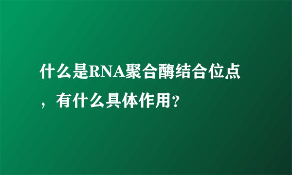 什么是RNA聚合酶结合位点，有什么具体作用？