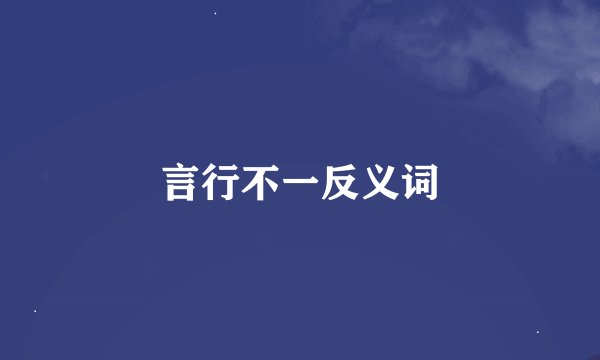 言行不一反义词