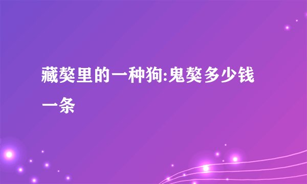 藏獒里的一种狗:鬼獒多少钱一条