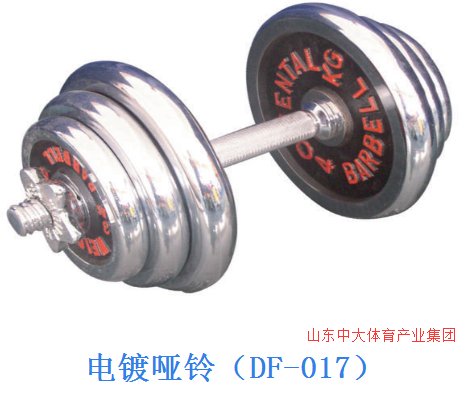 一个哑铃多少钱？
