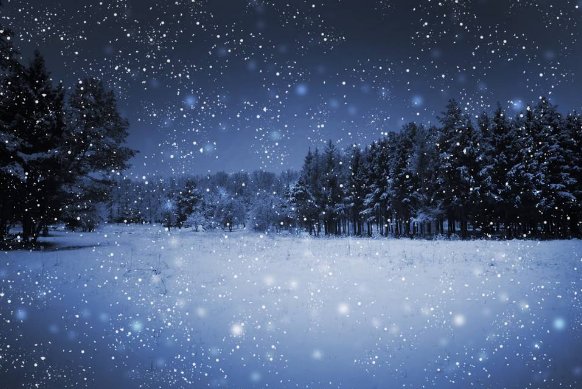 雪花怎么填词语。