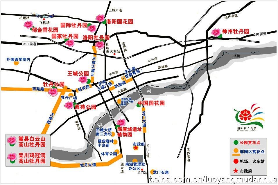 洛阳牡丹花会是什么时候啊？