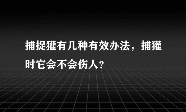 捕捉獾有几种有效办法,捕獾时它会不会伤人?