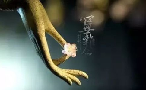 佛主拈花一笑有何禅意