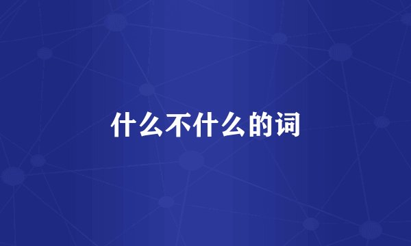 什么不什么的词