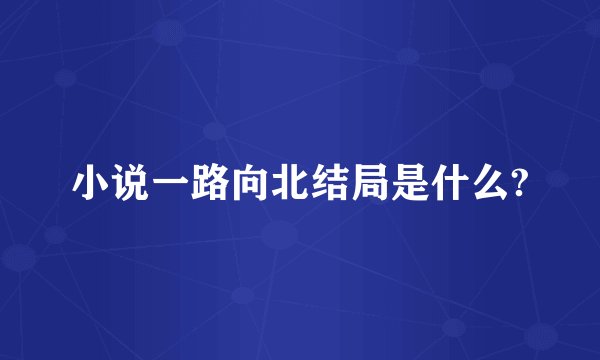 小说一路向北结局是什么?