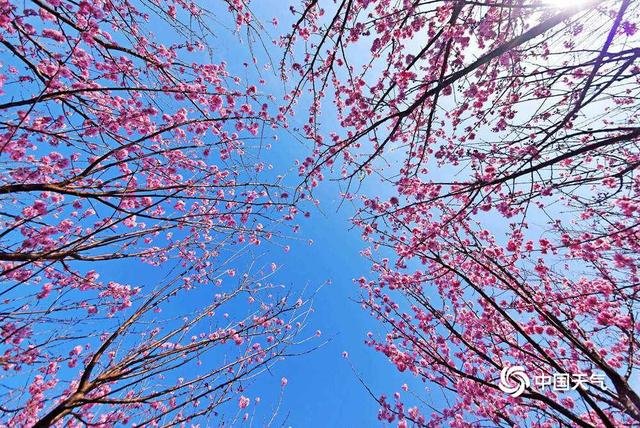 春光无限好的光指什么意思？