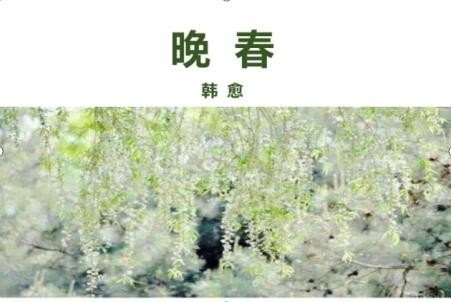 古诗《晚春》中的拼音怎么写?
