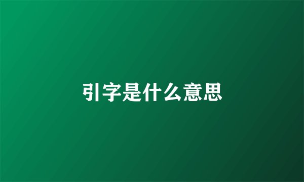 引字是什么意思