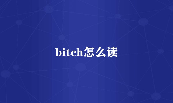 bitch怎么读