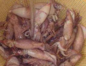 买的冷冻籽乌怎么清洗