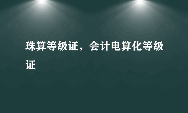 珠算等级证，会计电算化等级证
