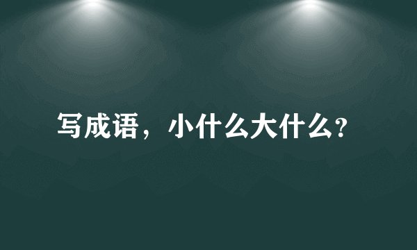 写成语，小什么大什么？