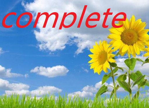 complete是什么意思啊