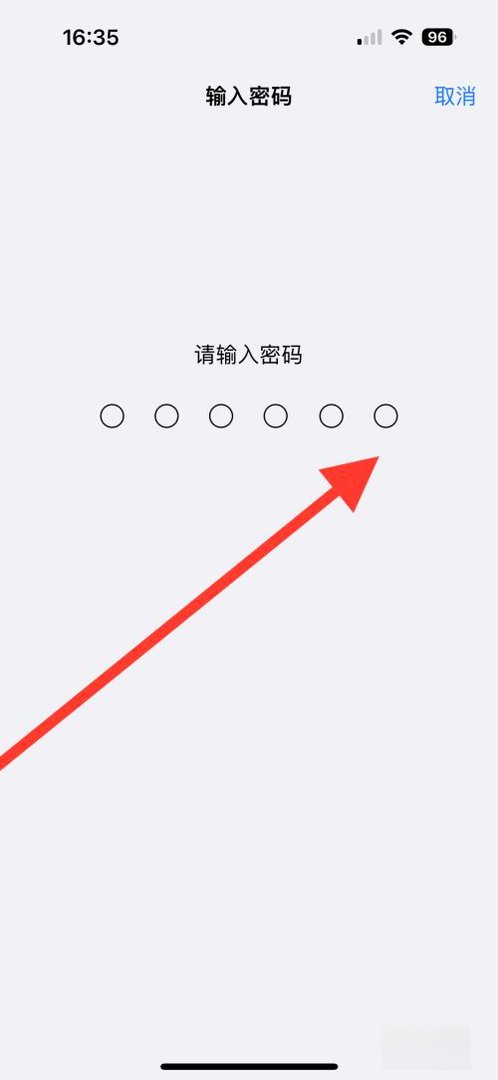 面容ID怎么设置不了。