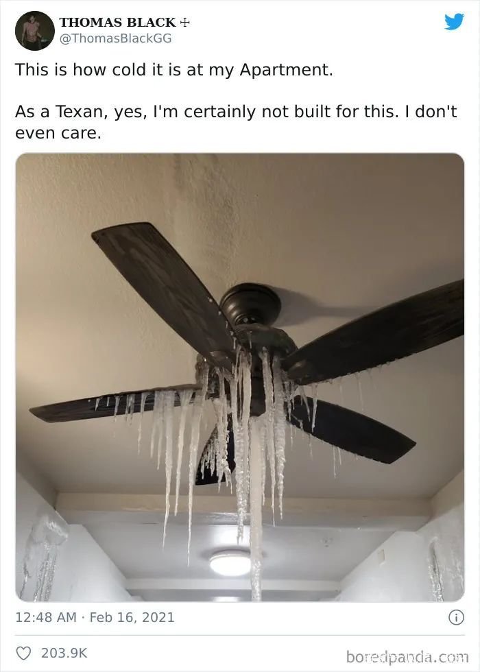 美国的极寒雪灾,究竟是什么原因造成的?