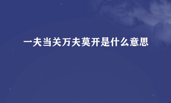 一夫当关万夫莫开是什么意思