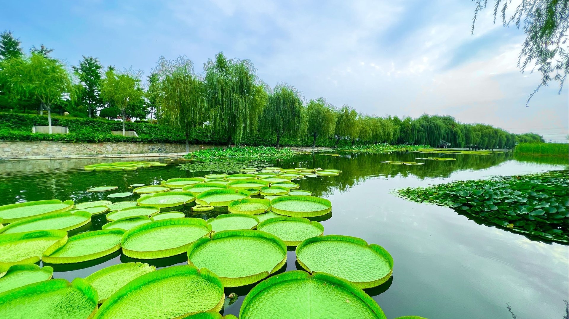 北京海淀驾校怎么样