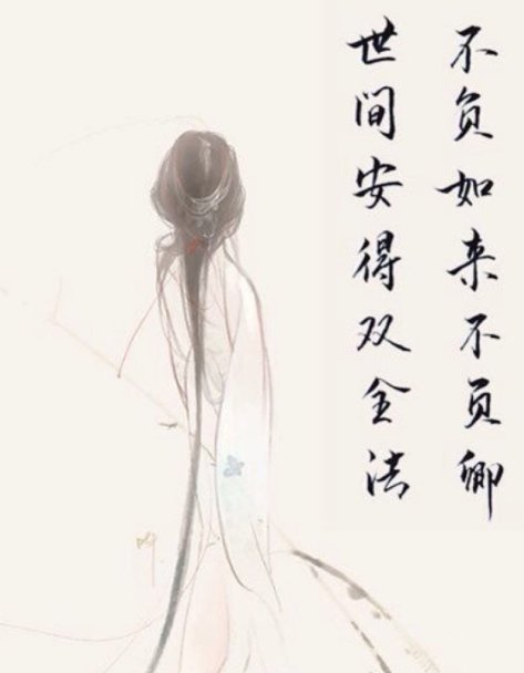 不负如来不负卿出自哪里？