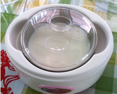 酸奶机里要加水吗
