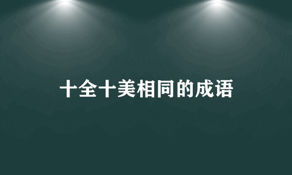 十全十美相同的成语