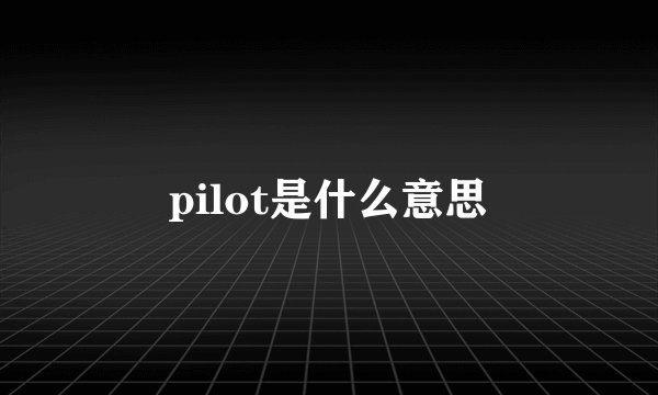 pilot是什么意思