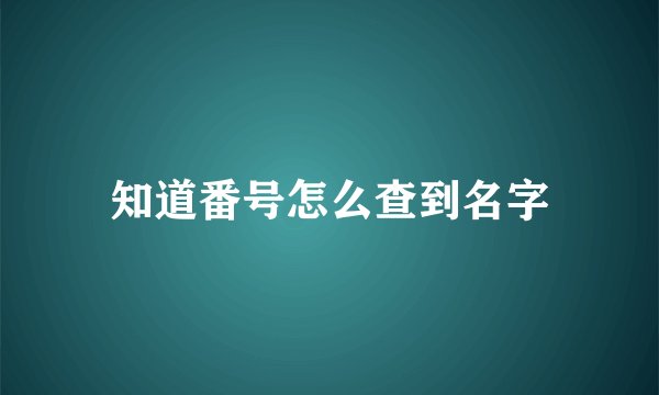 知道番号怎么查到名字