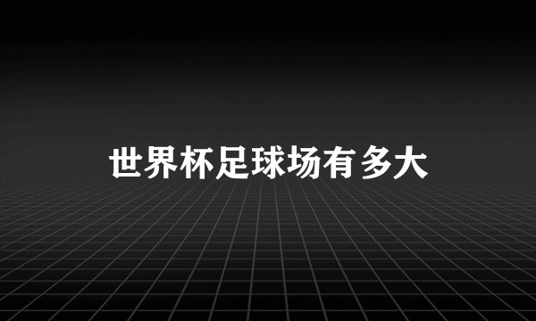 世界杯足球场有多大