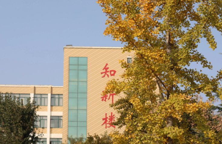 山东现代职业学院怎么样？