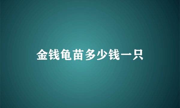 金钱龟苗多少钱一只