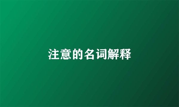 注意的名词解释