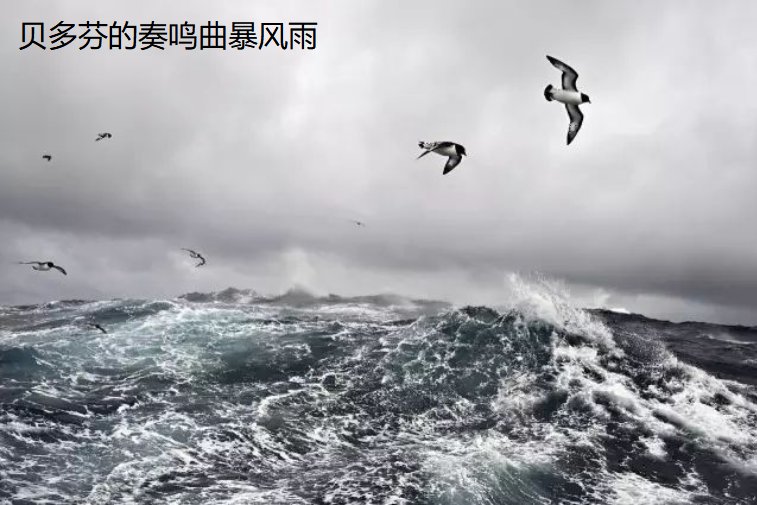 贝多芬的奏鸣曲暴风雨 第一乐章、第三乐章 分别相当于几级钢琴曲?