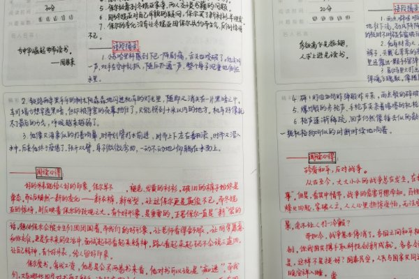 钢铁是怎样炼成的第一章的批注。